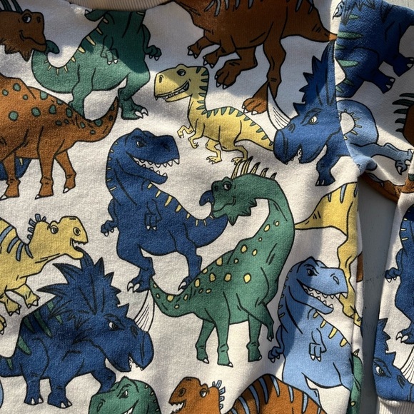 Kid's H&M Sweatshirt Multicolor Dinosaur Print 6X/7 Boy's Prehistoric Colorblock - Picture 2 of 12